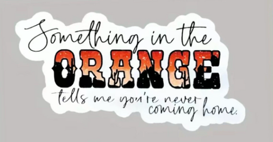 Something in the Orange 4x2” Decal Sticker!